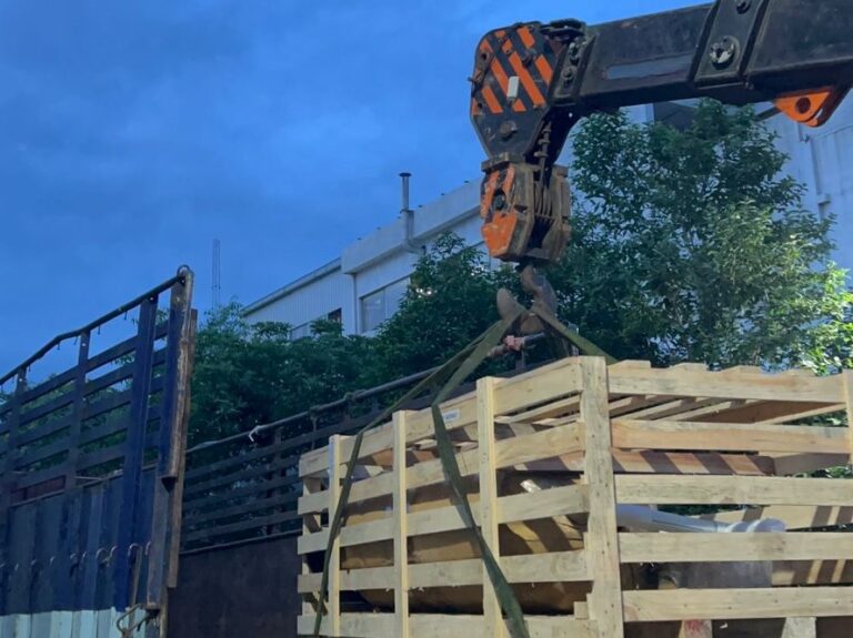 WhatsApp Image 2025-12-01 at 4.33.27 PM (1)