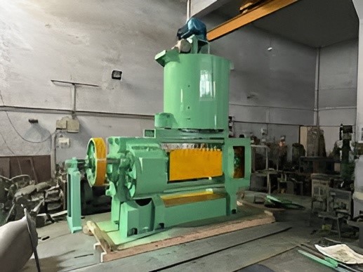 WhatsApp Image 2025-12-01 at 5.45.00 PM (2)