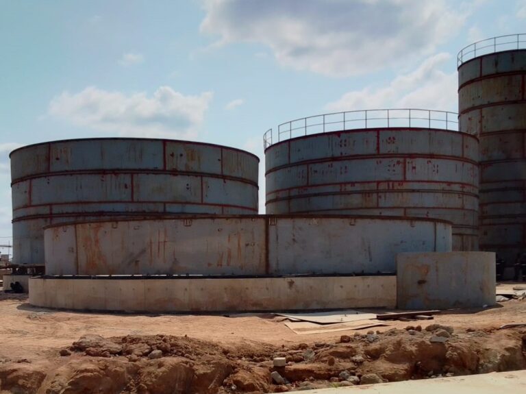 WhatsApp Image 2025-12-14 at 9.01.30 PM